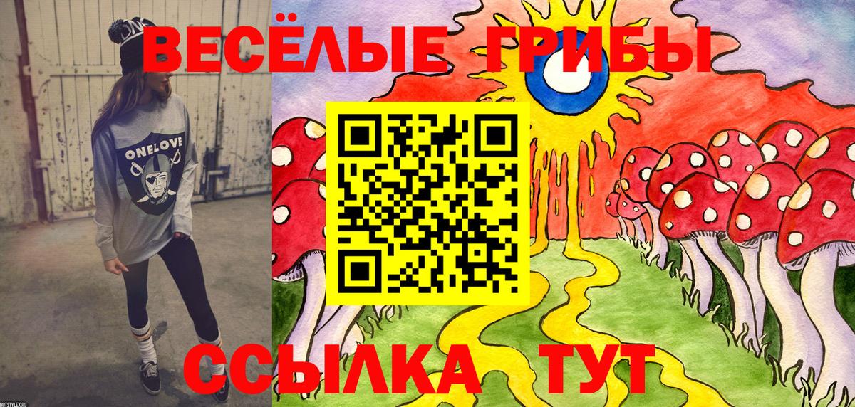 наркошоп  Псилоцибиновые грибы Magic Shrooms  Вход с VPN  Избербаш 